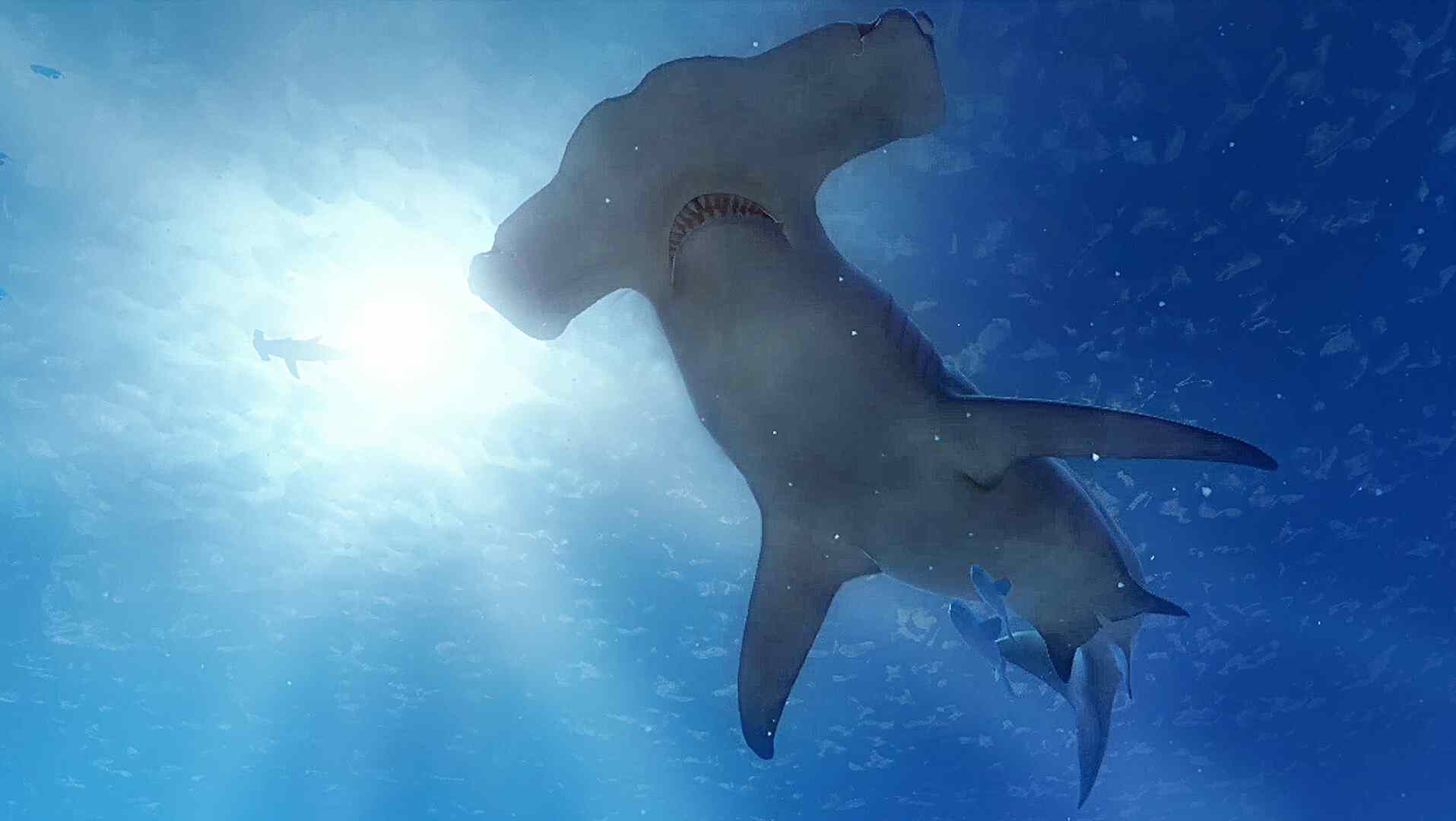 深蓝海底VR (The Blu)