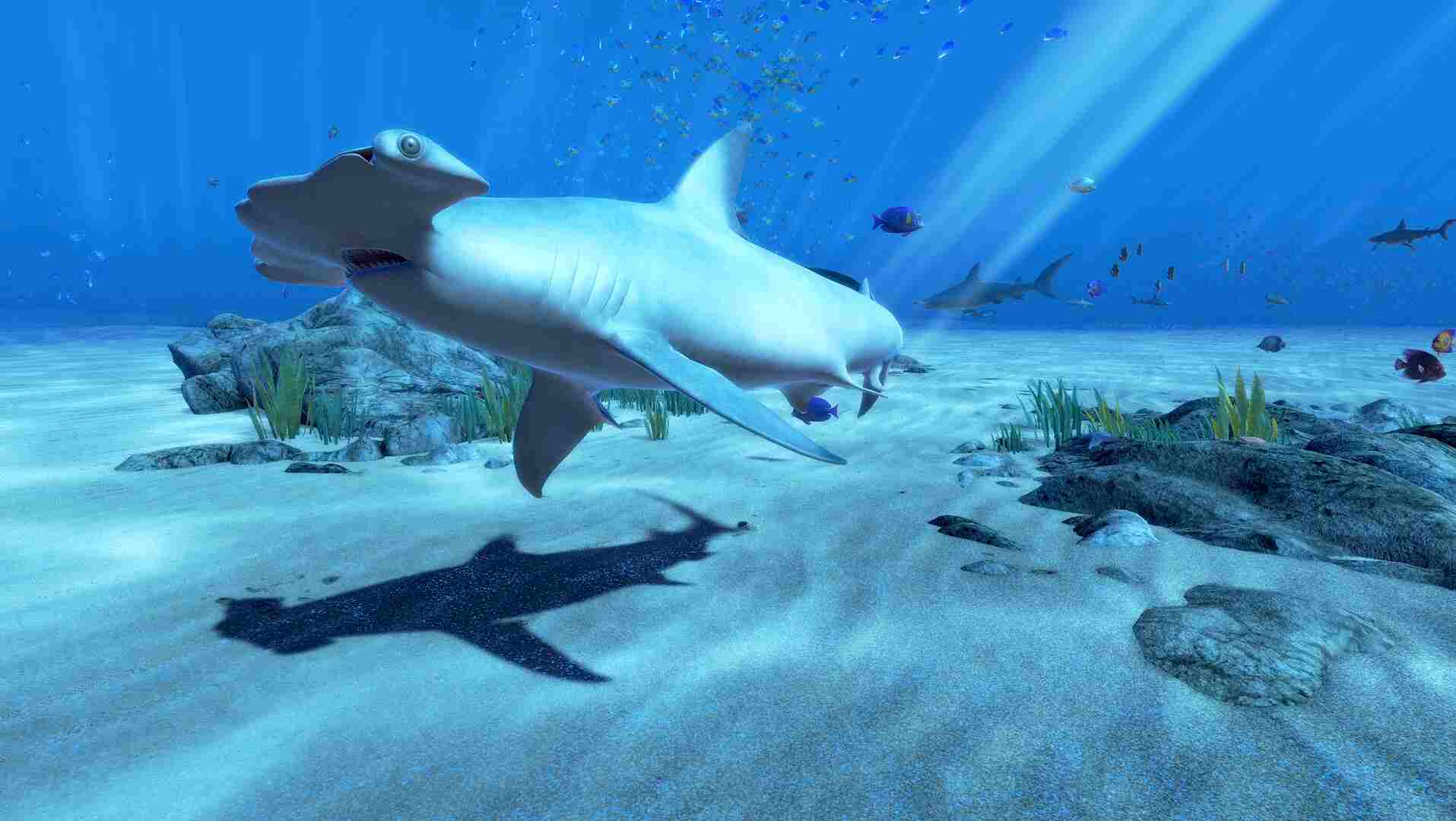 深蓝海底VR (The Blu)