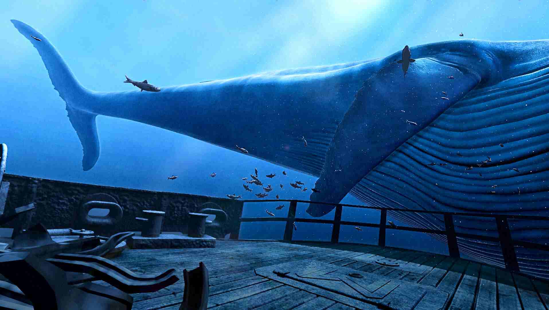 深蓝海底VR (The Blu)