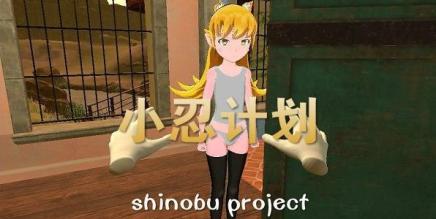 小忍计划（Viva Project）-魔趣网精选