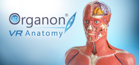 Oculus Quest 游戏《3D Organon VR Anatomy 2021》3D Organon VR 人体解剖学-魔趣网精选