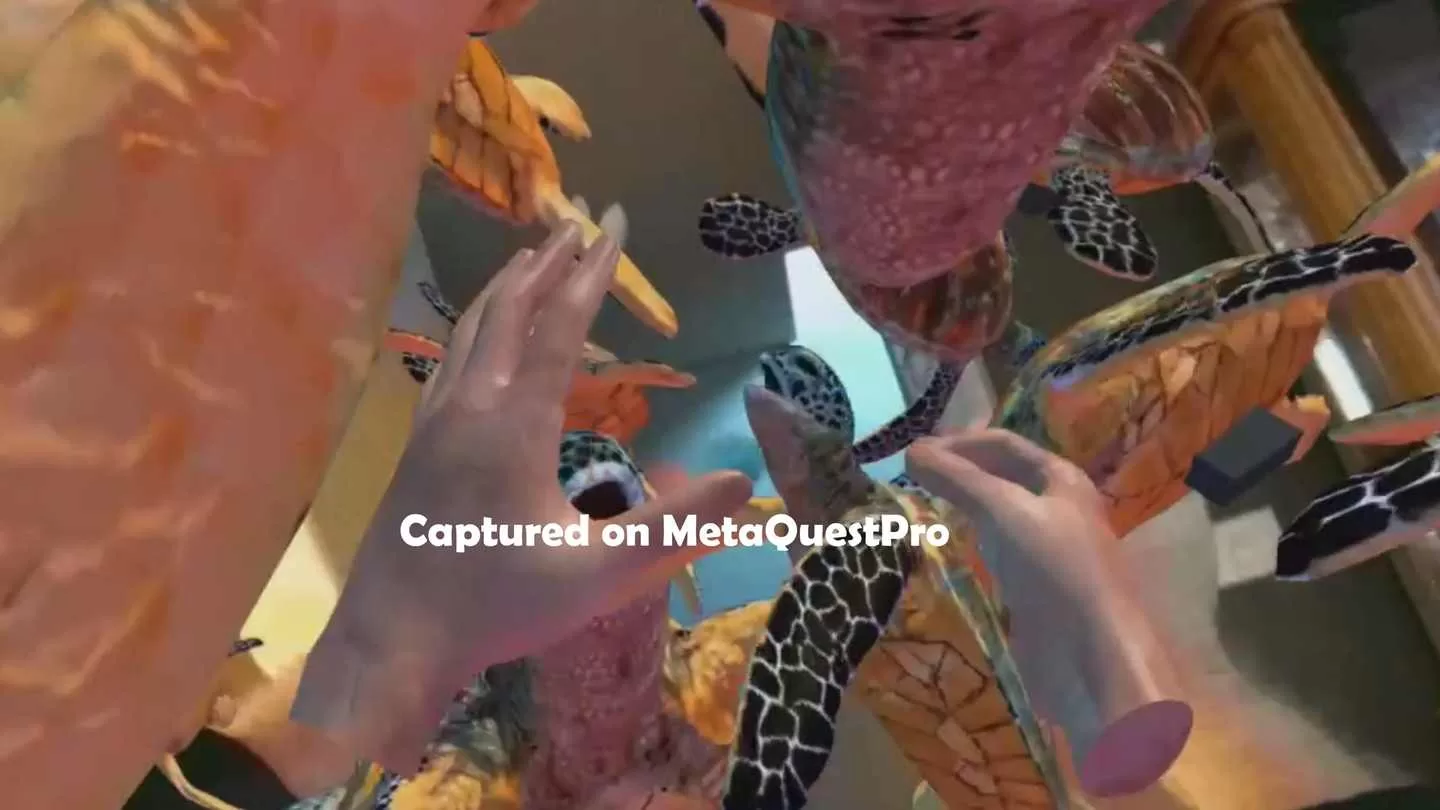 Oculus Quest 游戏《动物园+海洋手部追踪ZOSU通行证》Zoo + Ocean Handtracking ZOSU Passthrough-魔趣网精选