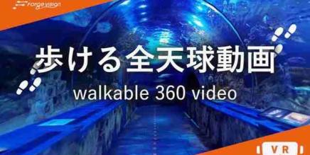 Oculus Quest 游戏《Walkable 360 Video》步行 360 度全景视频-魔趣网精选