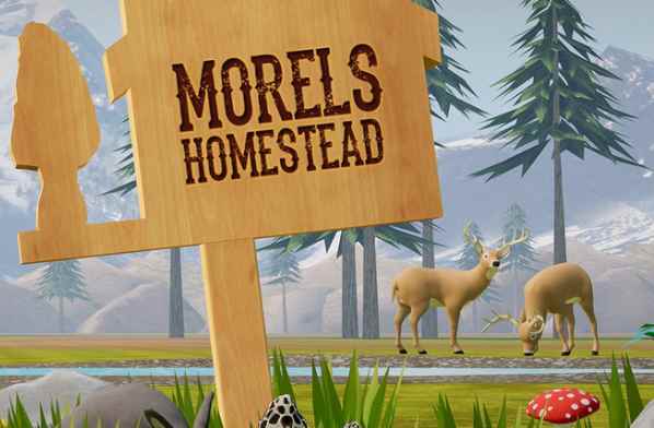 Oculus Quest 游戏《农场家园》Morels: Homestead-魔趣网精选