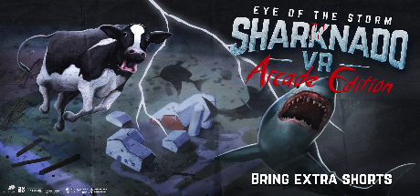 飞鲨：风暴之眼 (Sharknado VR Arcade Edition)-魔趣网精选