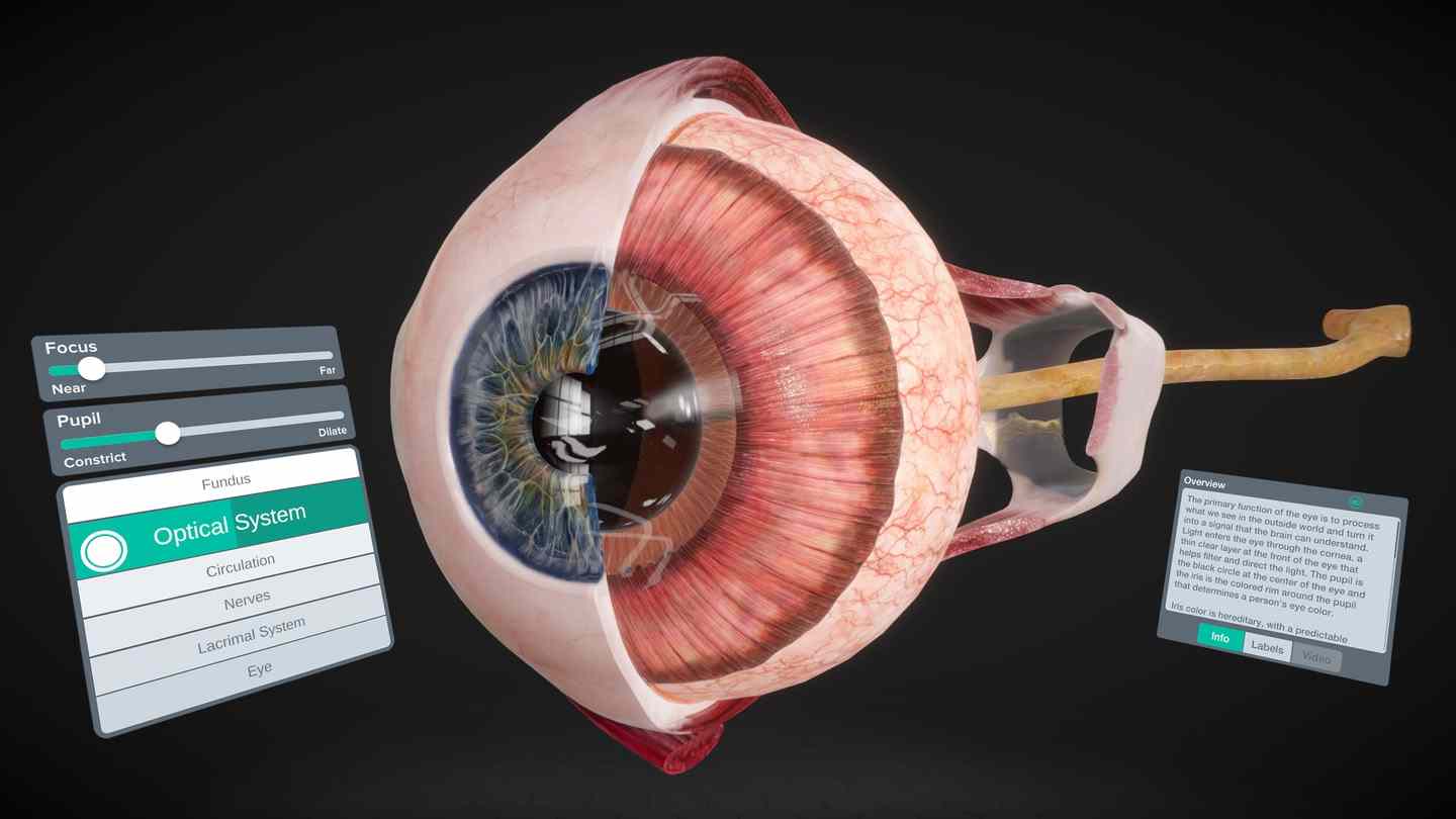 Oculus Quest 游戏《器官解刨学》Sharecare YOU Anatomy VR