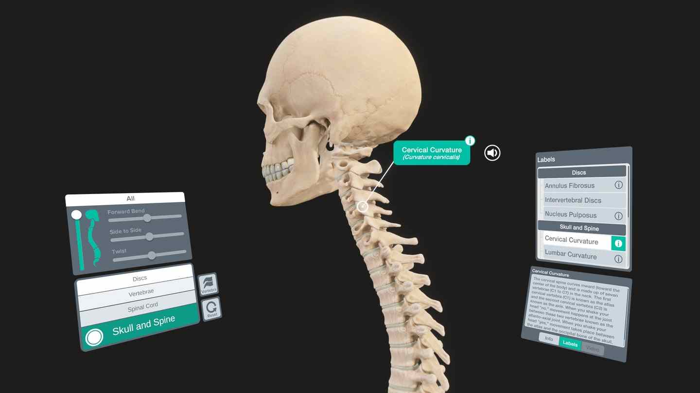 Oculus Quest 游戏《器官解刨学》Sharecare YOU Anatomy VR