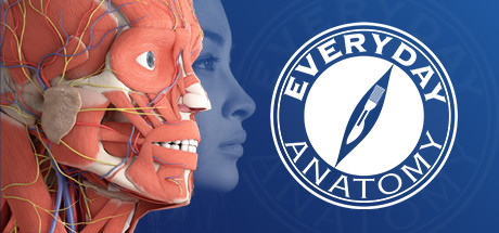 日常解剖 VR (Everyday Anatomy VR)-魔趣网精选
