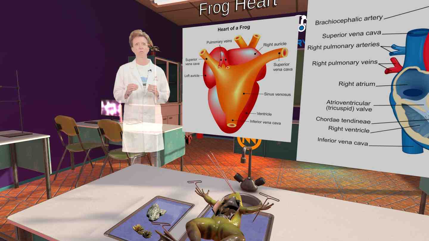 Oculus Quest 游戏《解剖模拟器 青蛙》Dissection Simulator Frog Edition