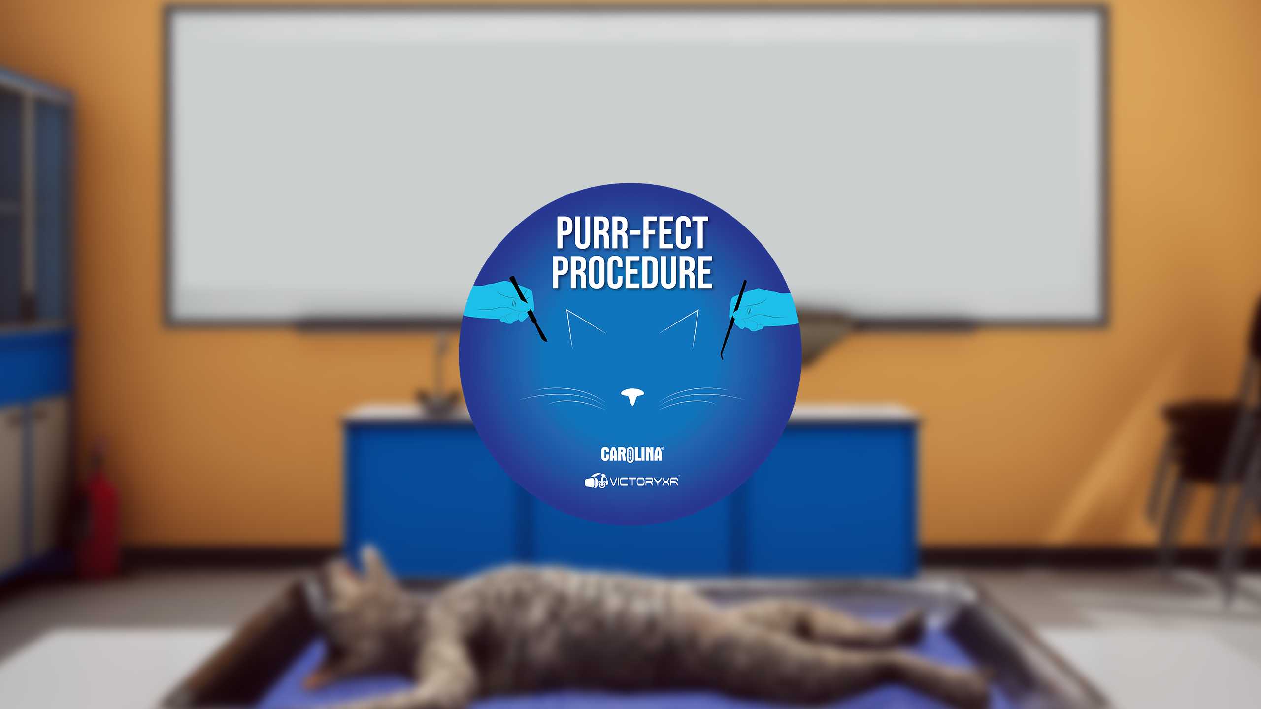 Oculus Quest游戏《解剖模拟器 猫科动物》Dissection Simulator - Cat Edition