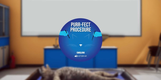 Oculus Quest游戏《解剖模拟器 猫科动物》Dissection Simulator – Cat Edition-魔趣网精选