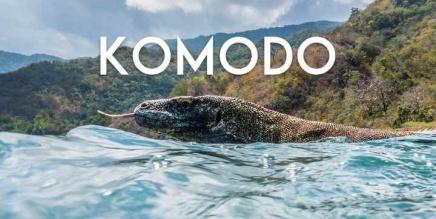 Oculus Quest 游戏《Komodo VR》科莫多-魔趣网精选