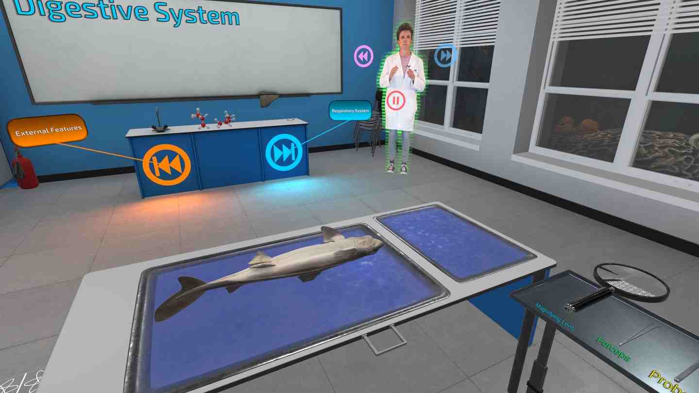 Oculus Quest 游戏《解剖模拟器 鲨鱼》Dissection Simulator: Shark Edition VR