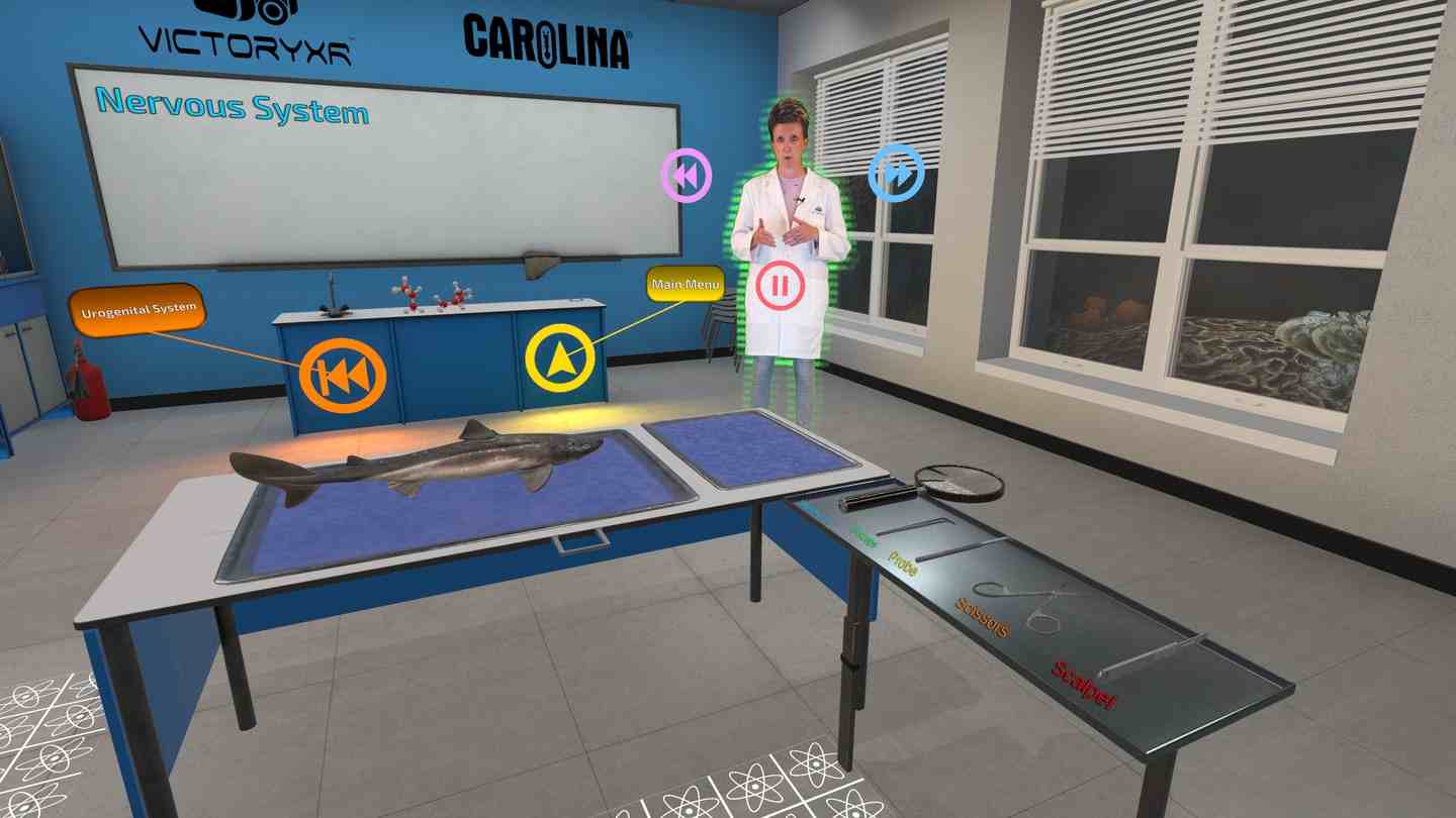 Oculus Quest 游戏《解剖模拟器 鲨鱼》Dissection Simulator: Shark Edition VR