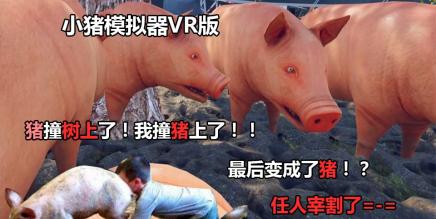 小猪模拟器（pig simulator VR）-魔趣网精选