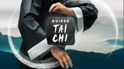 Oculus Quest 游戏《太极冥想》Guided Tai Chi VR-魔趣网精选