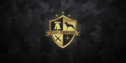 Oculus Quest 游戏《顶级 K9》Top Tier K9-魔趣网精选