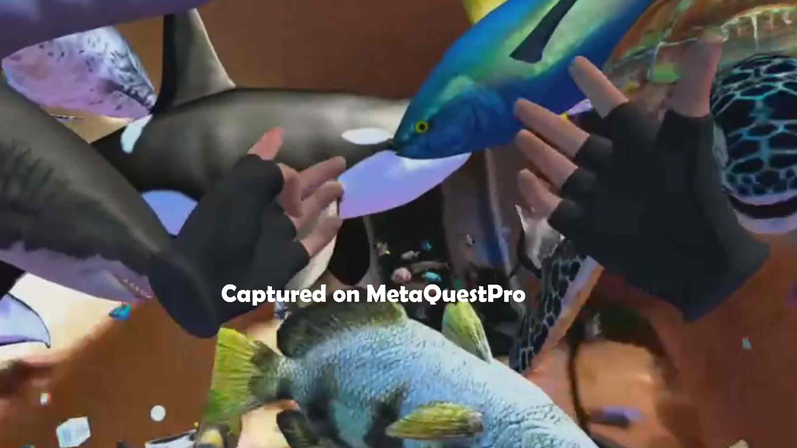 Oculus Quest 游戏《海洋世界》Ocean Passthrough
