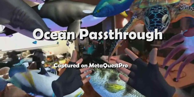 Oculus Quest 游戏《海洋世界》Ocean Passthrough-魔趣网精选