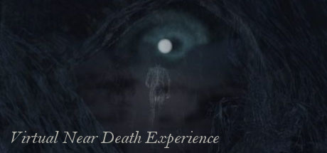 虚拟濒死体验 (Virtual Near Death Experience)-魔趣网精选