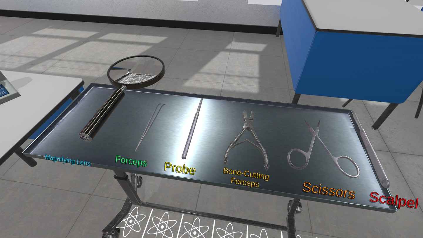 Oculus Quest 游戏《解剖模拟器 小猪》Dissection Simulator - Pig Edition