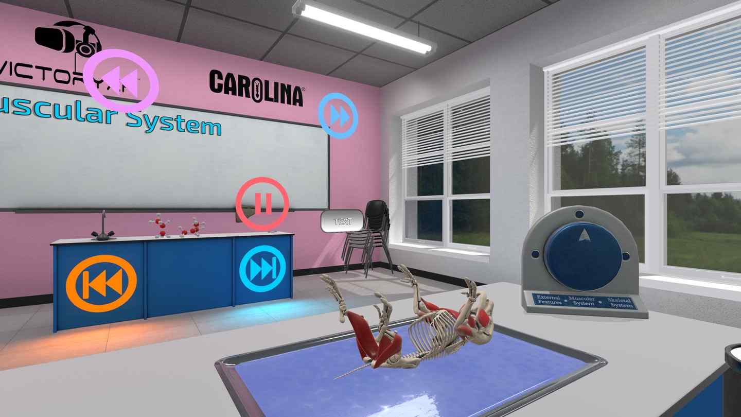 Oculus Quest 游戏《解剖模拟器 小猪》Dissection Simulator - Pig Edition
