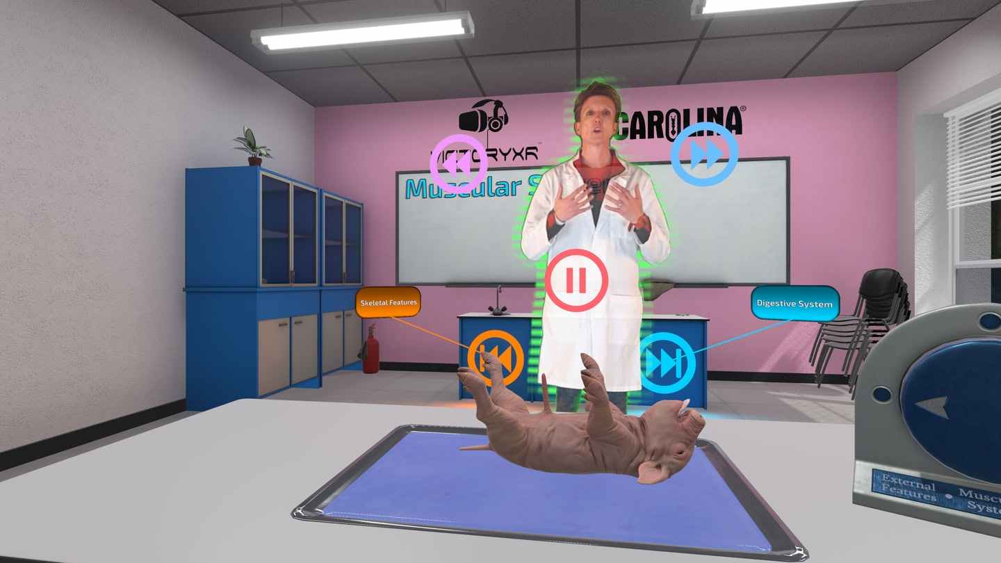 Oculus Quest 游戏《解剖模拟器 小猪》Dissection Simulator - Pig Edition
