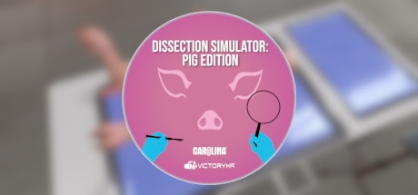 Oculus Quest 游戏《解剖模拟器 小猪》Dissection Simulator – Pig Edition-魔趣网精选