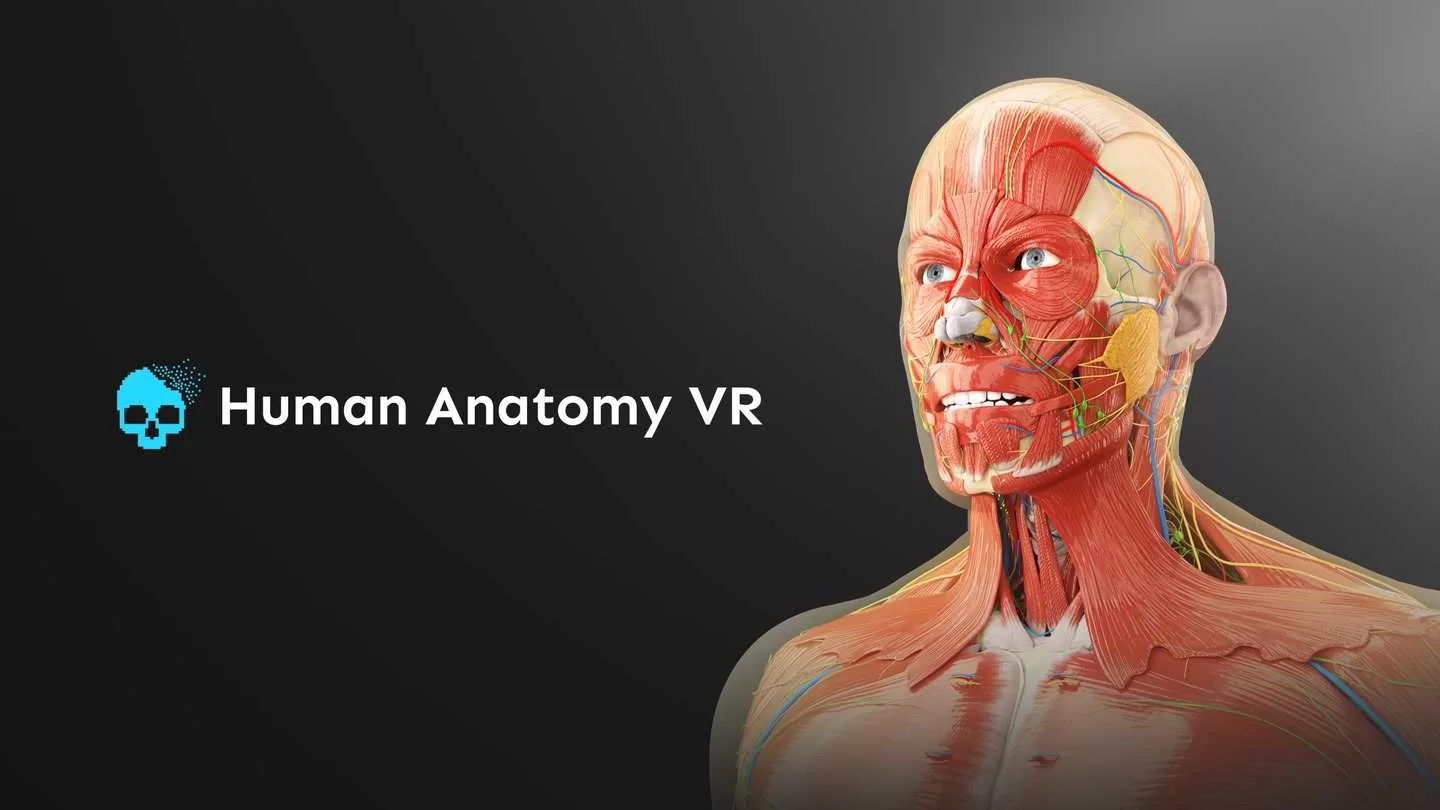 Oculus Quest 游戏《人体解剖VR》Human Anatomy VR-魔趣网精选