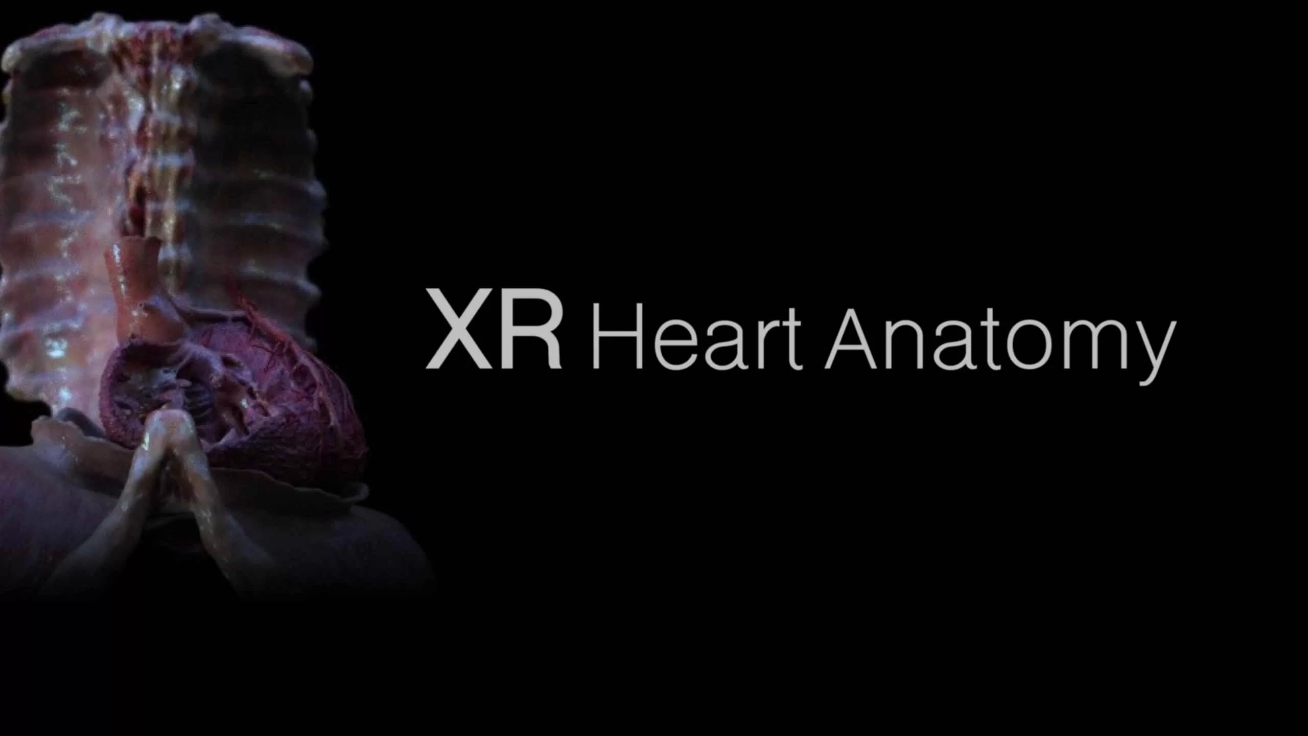 Oculus Quest 游戏《XR 心脏解剖》XR Heart Anatomy-魔趣网精选