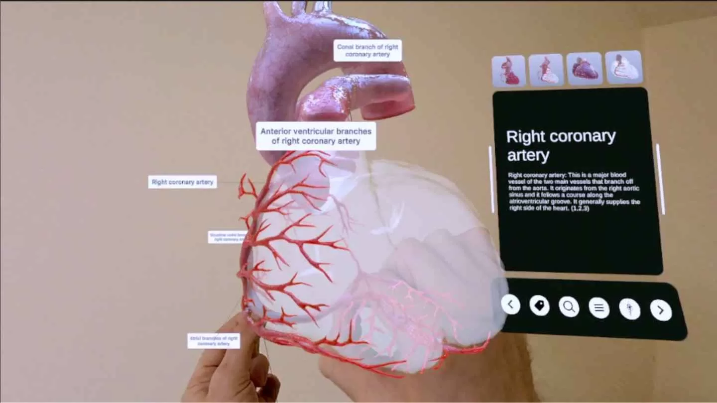 Oculus Quest 游戏《XR 心脏解剖》XR Heart Anatomy