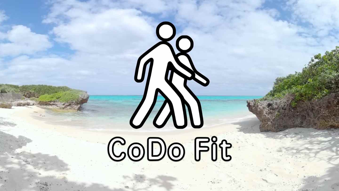 Oculus Quest 程序《健康运动》CoDo Fit
