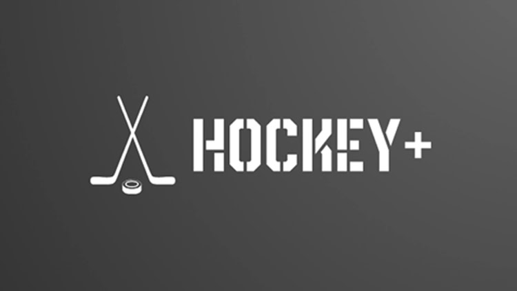 Oculus Quest 游戏《曲棍球+》Hockey+