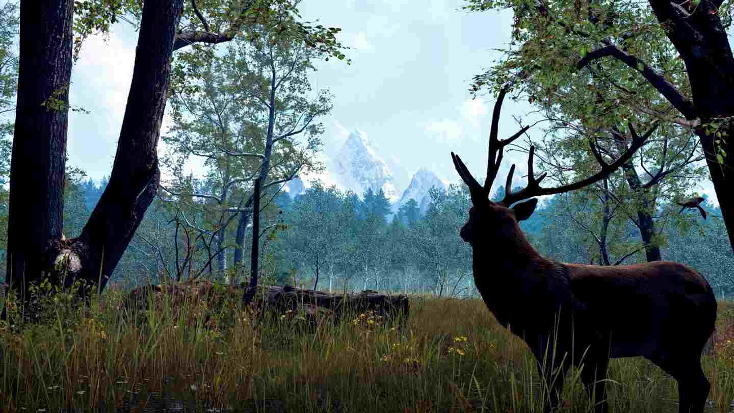 Oculus Quest 游戏《自然之旅VR》Nature Treks VR