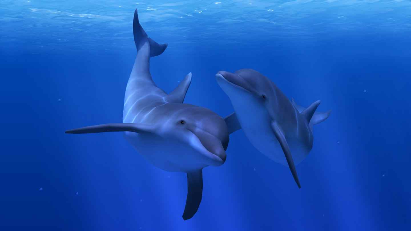 Oculus Quest 游戏《海洋裂谷》Ocean Rift
