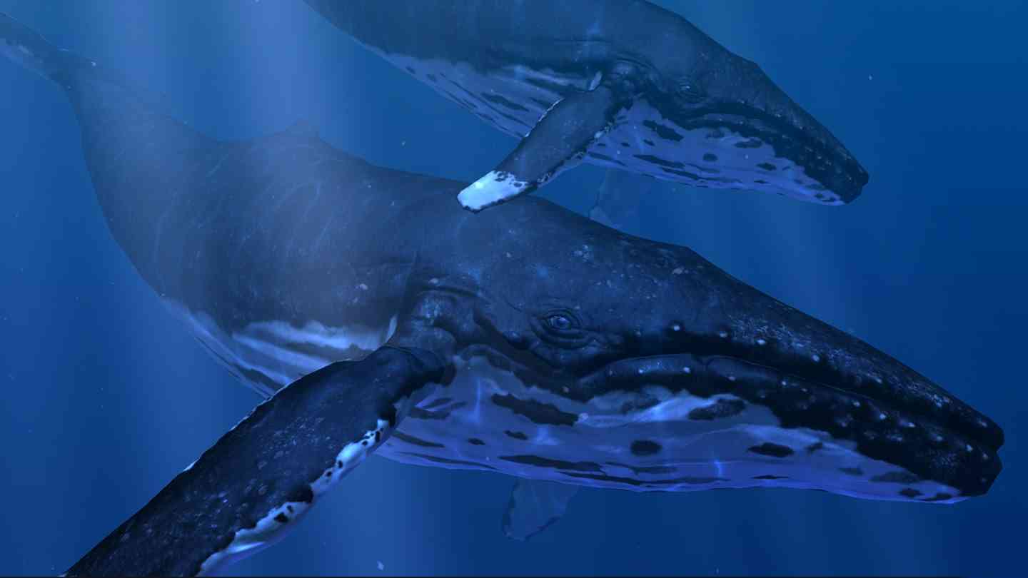 Oculus Quest 游戏《海洋裂谷》Ocean Rift