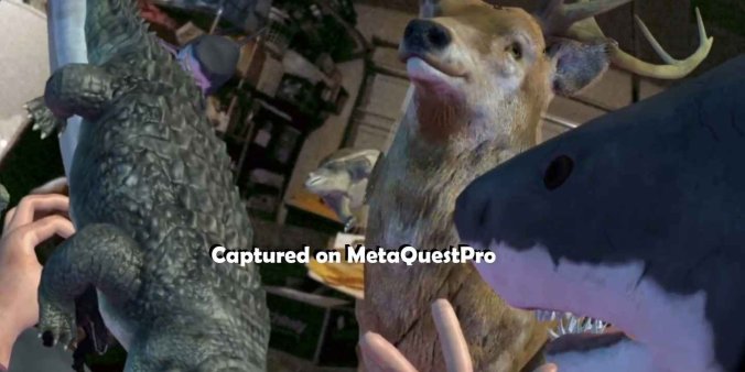 Meta Quest 游戏《陆地和海洋混合现实》Landz and Seaz Mixed Reality-魔趣网精选