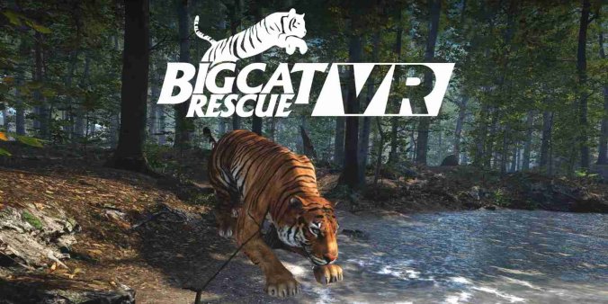 Meta Quest 游戏《大型猫科动物》Big Cat Rescue-魔趣网精选