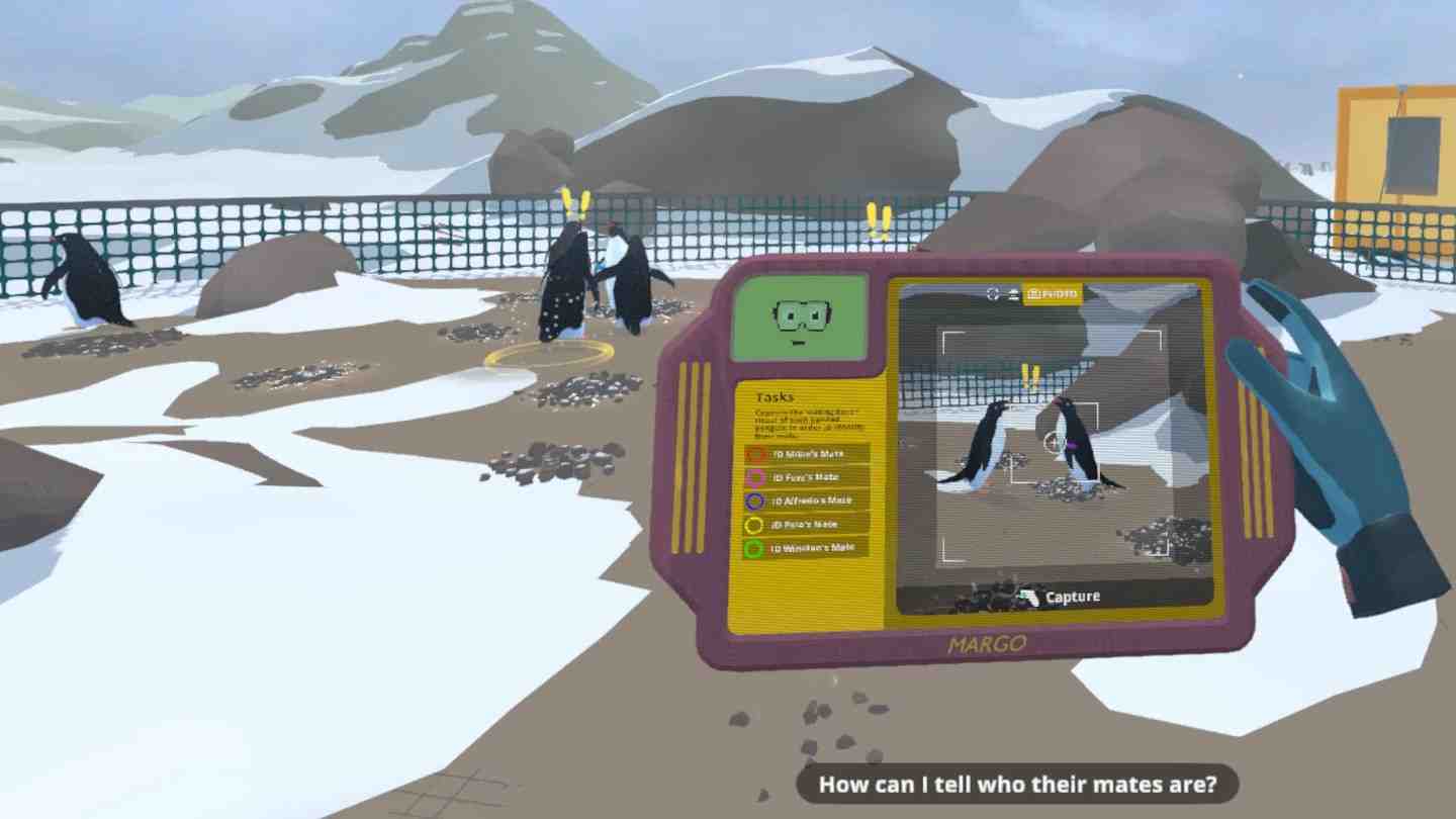 Meta Quest 游戏《冰上企鹅：孵化》On the Ice: Hatched
